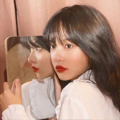 动物狂想曲第一季
